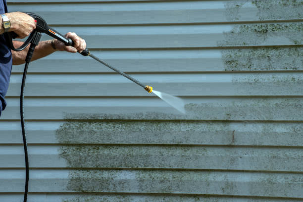 Best Brick and Stone Cleaning in Wolf Point, MT